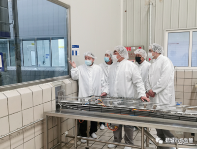 法律的本質與功能