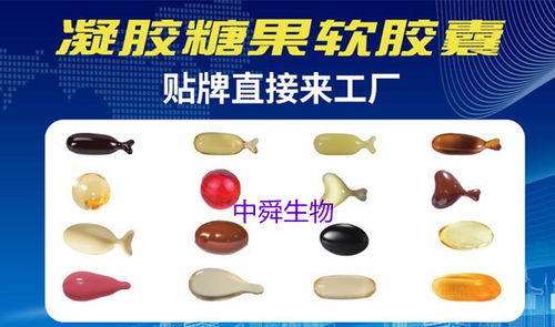 中舜生物 如何選擇高品質(zhì)益生菌OEM伙伴，一站式服務(wù)守護(hù)食品安全與營養(yǎng)